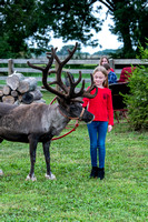 reindeer2_075