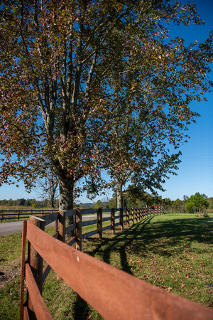 631millpond_065
